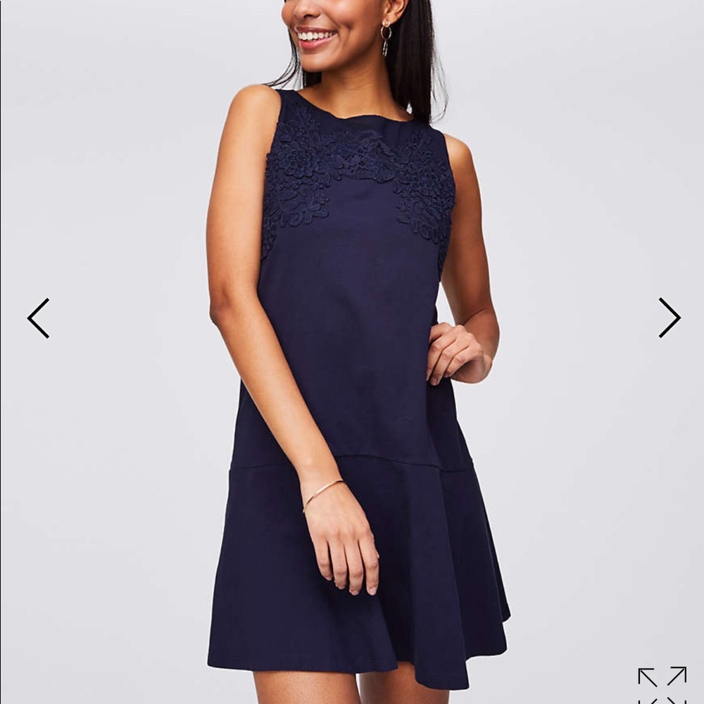 NWT Loft Lace Front Flippy Dress